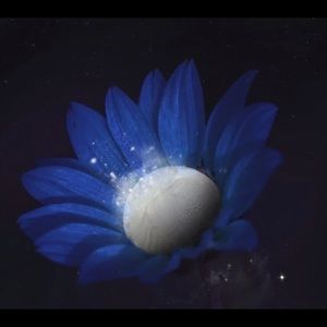 Meet your Posher, Shonda